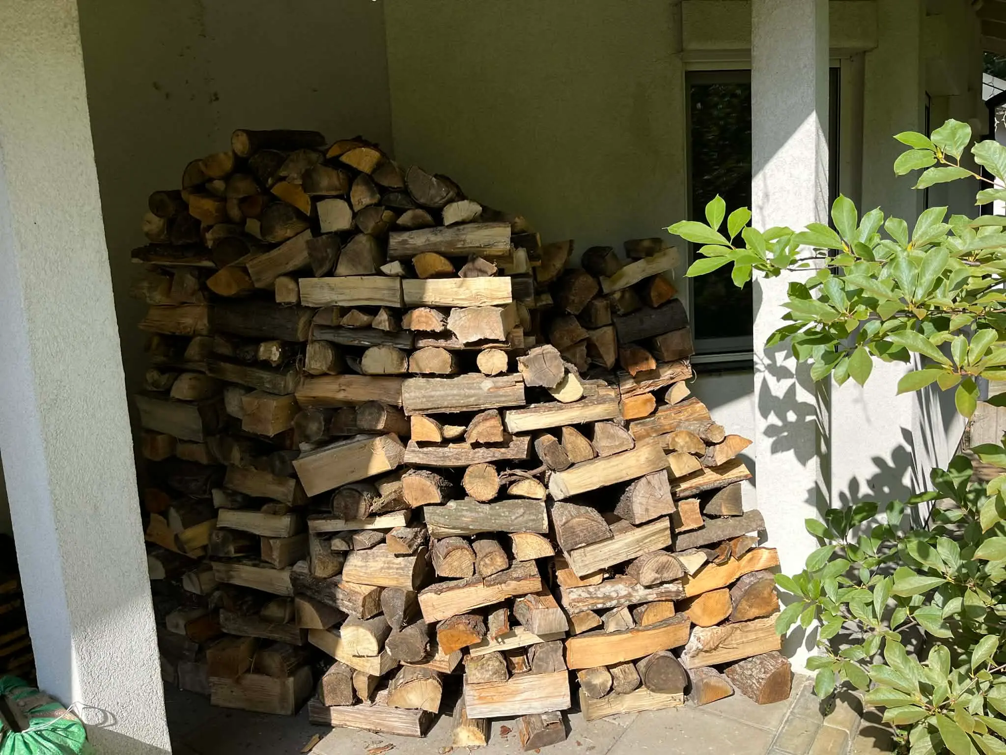 Drewno przy domu